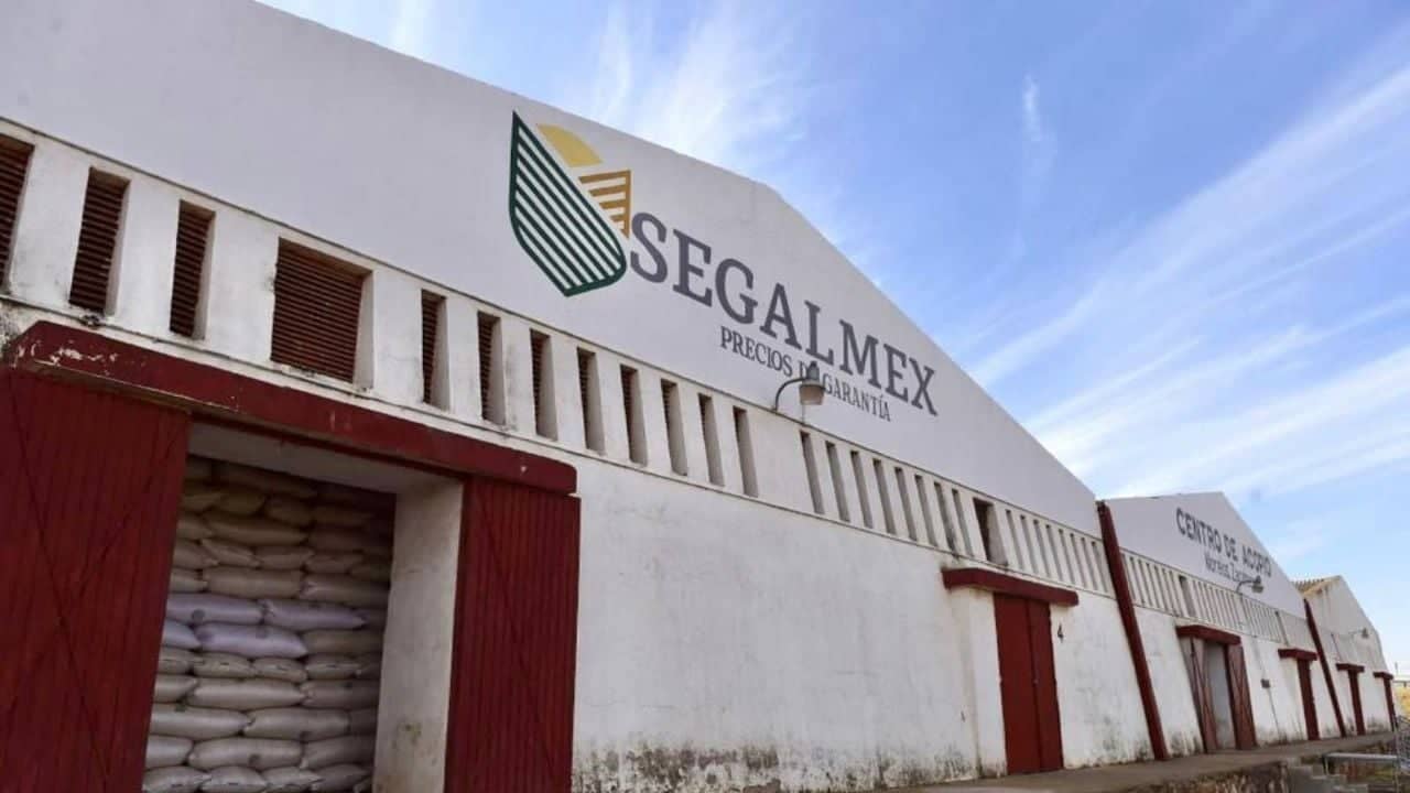 INAI ordena a Segalmex transparentar la recuperación de 950 mdp | Diario24