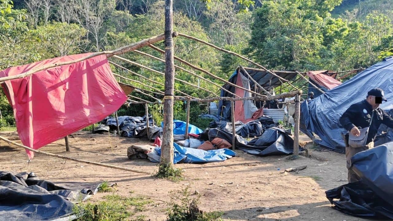 Desmantelan campamento de traficantes de personas en Tecpatán Chiapas | Diario24
