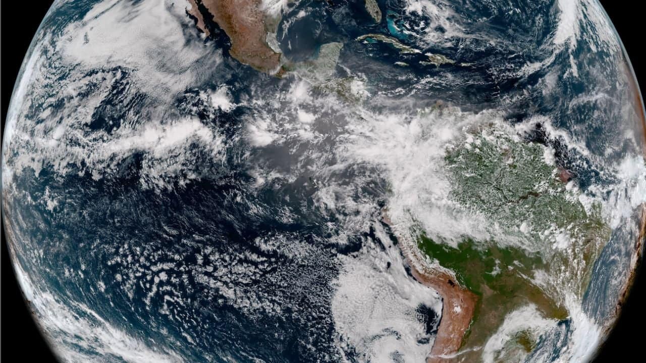 Poema de Sergio Loya por el Día de la Tierra | Diario24