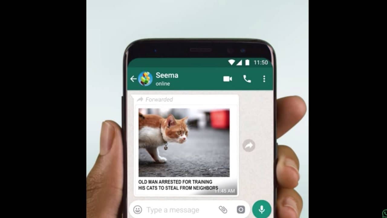 WhatsApp ya permite modificar o añadir texto a los archivos | Diario24