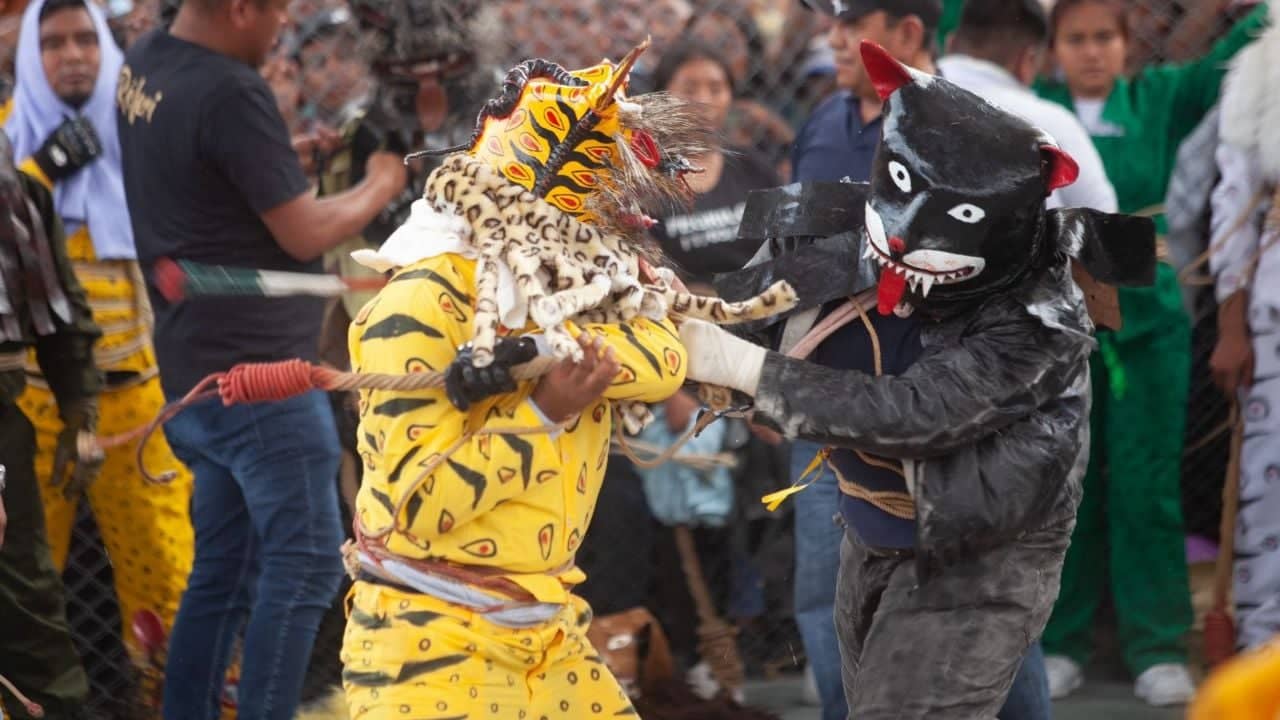 En Zitlala los jaguares pelean a latigazos para obtener el | Diario24